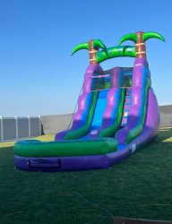 Purple Paradise Waterslide