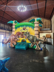 Screenshot 20240701 104008 Instagram 1743286881 Dino 3D Bounce House