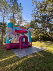 FB IMG 1768677667872 1769544334 Enchanted Bounce House