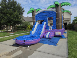 tropical202 1773182690 Tropical Combo